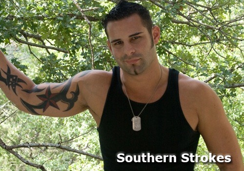 southernstrokes_banner1